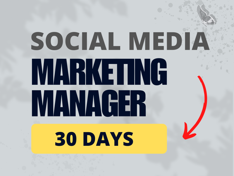 social Media Manager